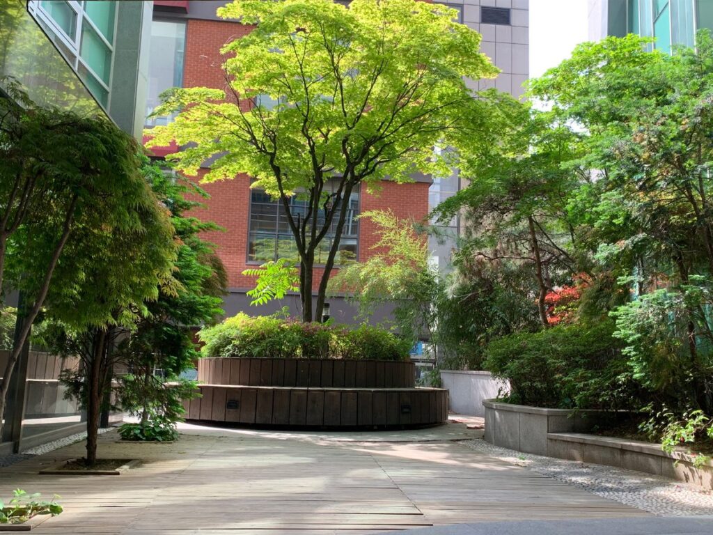 Garden courtyard at JW Plastic Surgery, Seoul