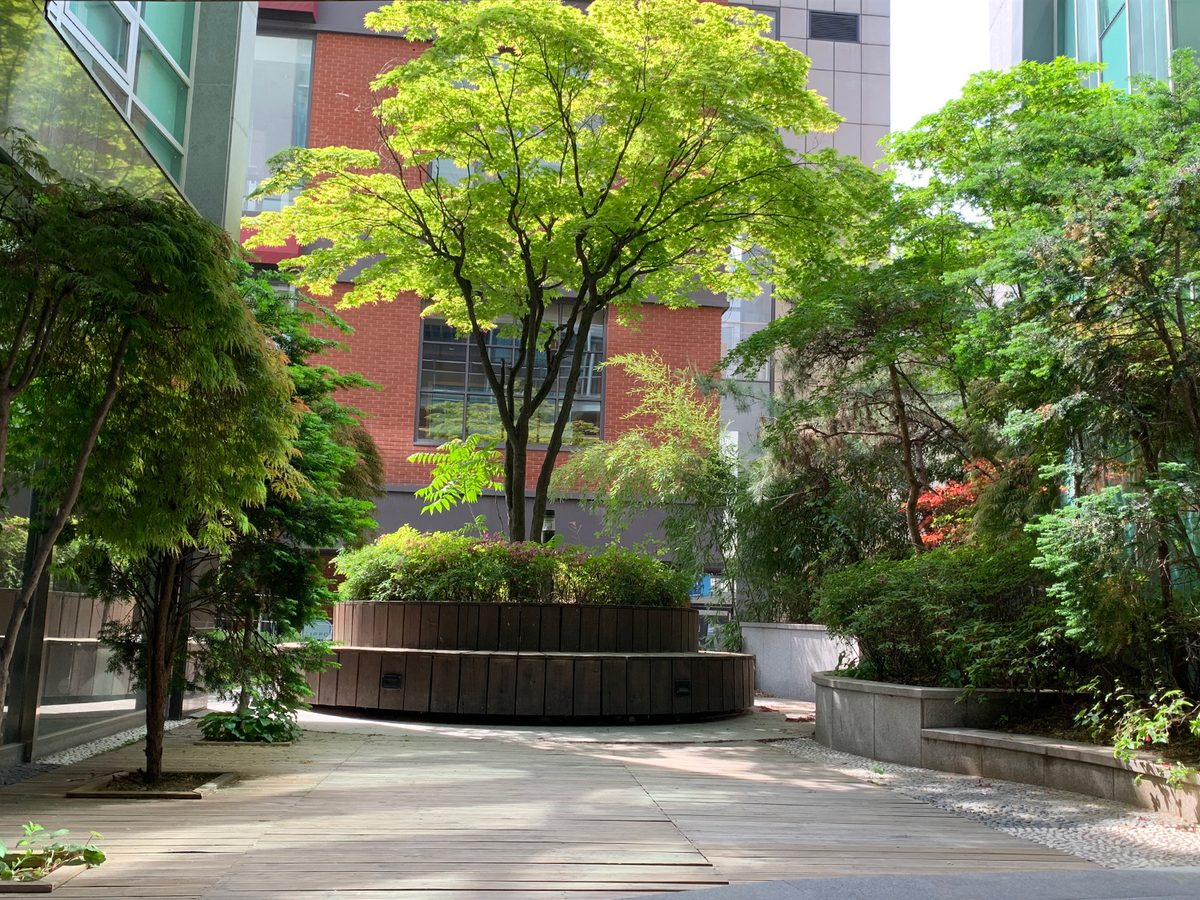 JW Plastic Surgery Seoul