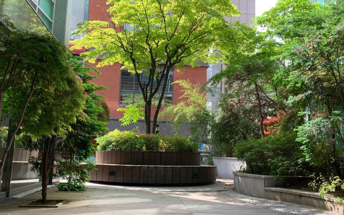 JW Plastic Surgery Seoul