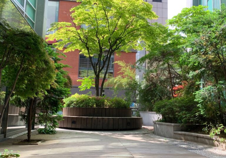 Garden courtyard at JW Plastic Surgery, Seoul